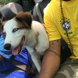 Meet your Posher, Max